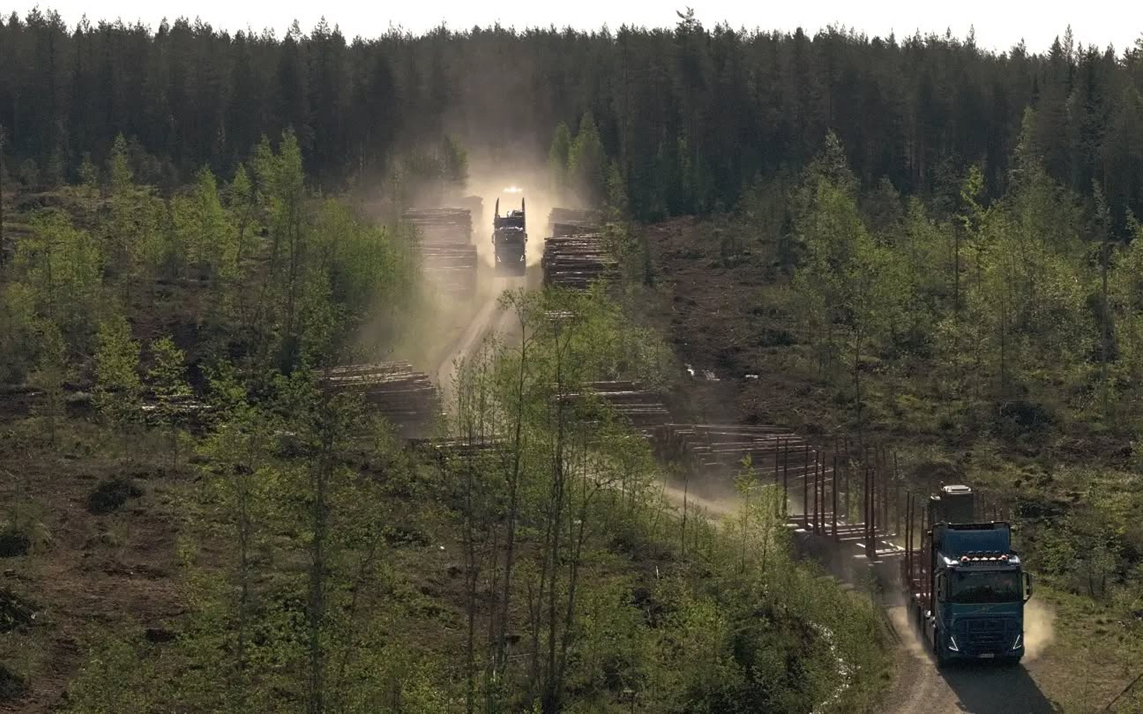Lehtiartikkelit